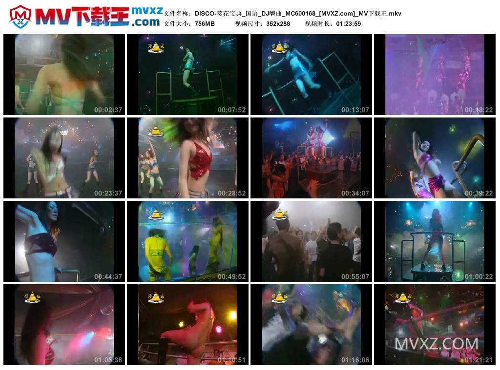 DISCO-葵花宝典_国语_DJ嗨曲_MC600168